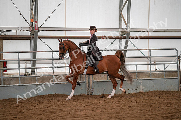 July 19, 2019 - 10338