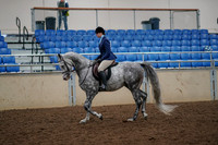 2019 Morgan Horse Show - Aug 30, 2019 - 22190
