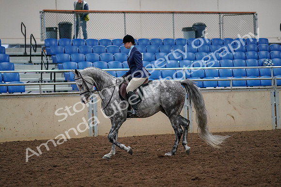 2019 Morgan Horse Show - Aug 30, 2019 - 22190