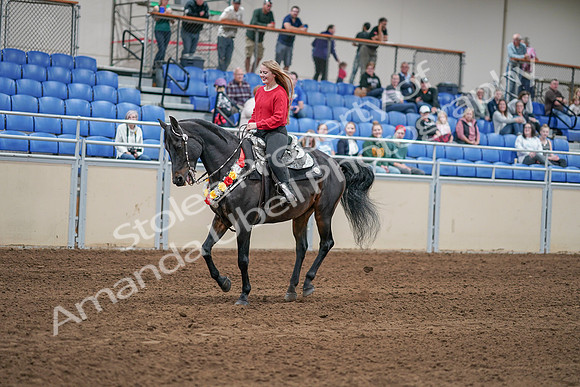 2020 - AB Morgan Horse - Sat, Sept 05 - 10460