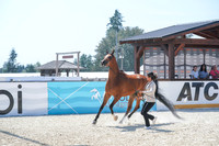 2024 - WCB - July 18 - 02859