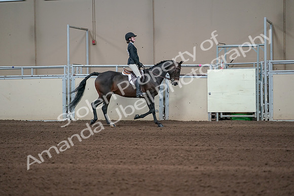 2019 Morgan Horse Show - Sept 01, 2019 - 03797