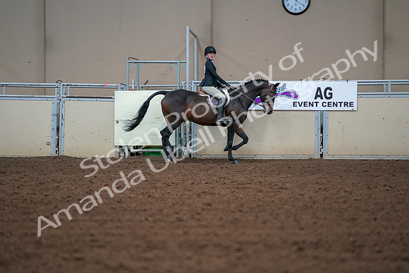 2019 Morgan Horse Show - Aug 30, 2019 - 20682
