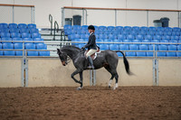 2019 Morgan Horse Show - Aug 30, 2019 - 23102