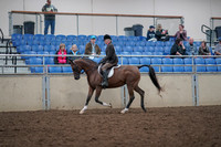 2019 Morgan Horse Show - Aug 31, 2019 - 15860