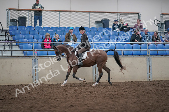 2019 Morgan Horse Show - Aug 31, 2019 - 15860