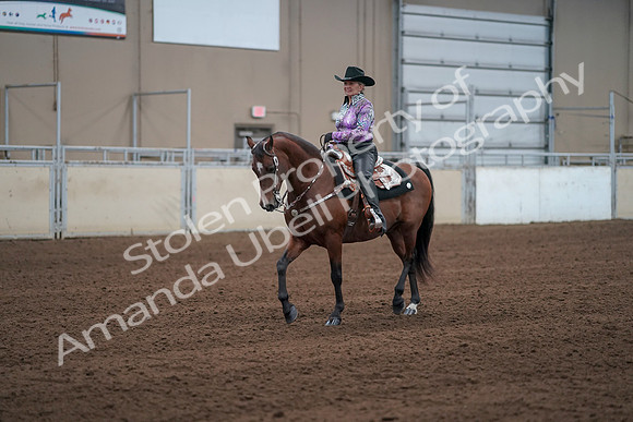 2019 Morgan Horse Show - Sept 01, 2019 - 07207
