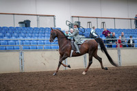 2019 Morgan Horse Show - Aug 30, 2019 - 17770