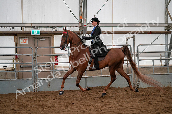 July 19, 2019 - 10310
