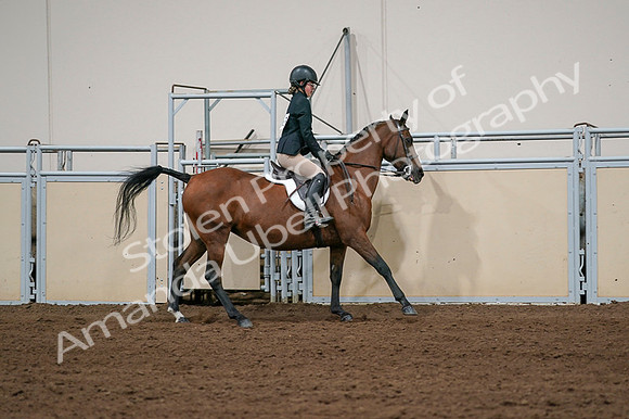 2020 - AB Morgan Horse - Fri, Sept 04 - 02099
