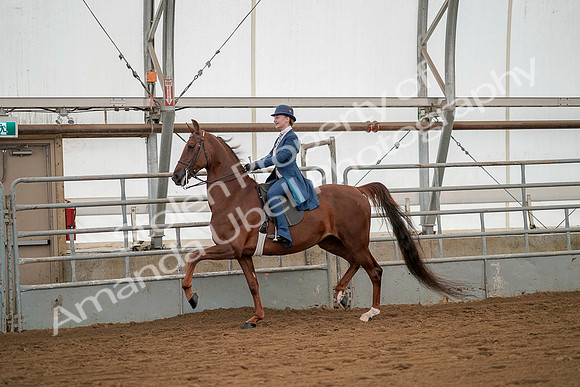 July 20, 2019 - 02187