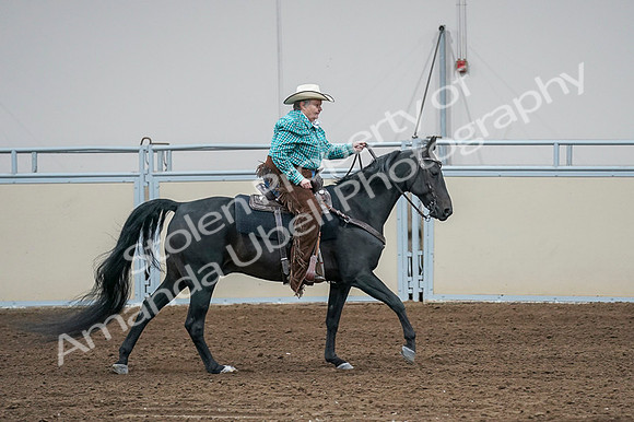 2020 - AB Morgan Horse - Fri, Sept 04 - 00616