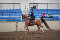 2019 Morgan Horse Show - Aug 31, 2019 - 16895