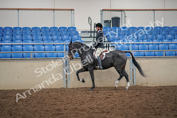 2019 Morgan Horse Show - Aug 30, 2019 - 23293