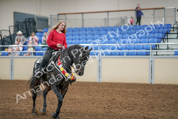2020 - AB Morgan Horse - Sat, Sept 05 - 10437