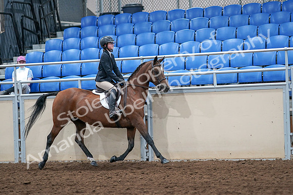 2020 - AB Morgan Horse - Fri, Sept 04 - 02183