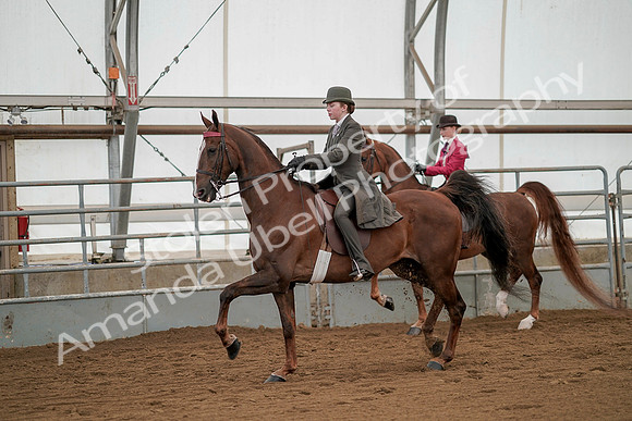 July 20, 2019 - 02208