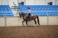 2019 Morgan Horse Show - Aug 30, 2019 - 22695