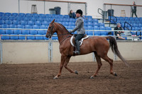 2019 Morgan Horse Show - Sept 01, 2019 - 12162