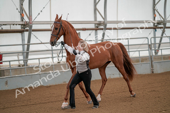July 19, 2019 - 93