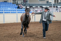 2020 - AB Morgan Horse - Sat, Sept 05 - 00725