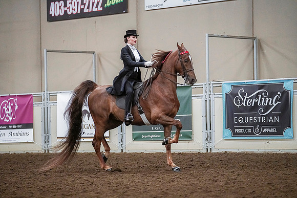 Spring Fling - Saturday - April 20, 2019  -  04173