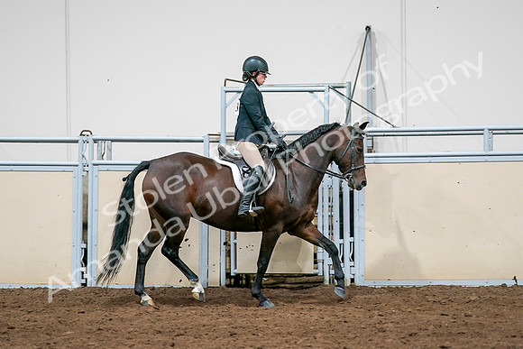 2020 - AB Morgan Horse - Sat, Sept 05 - 14548