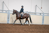 2020 - AB Morgan Horse - Sat, Sept 05 - 04965