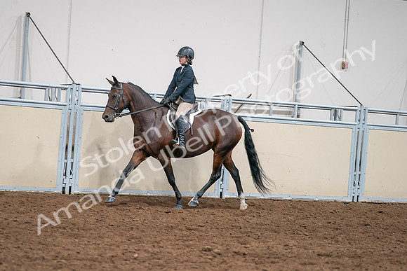 2020 - AB Morgan Horse - Sat, Sept 05 - 04965
