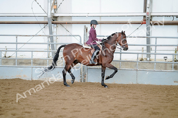 July 21, 2019 - 03378
