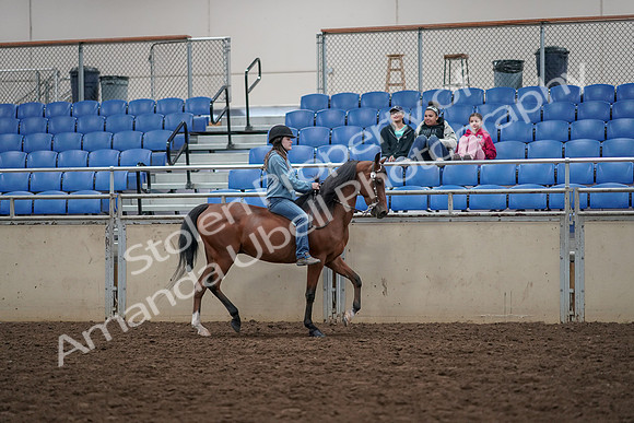 2019 Morgan Horse Show - Aug 30, 2019 - 31345