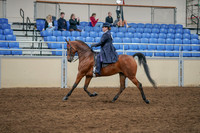 2020 - AB Morgan Horse - Sat, Sept 05 - 09700