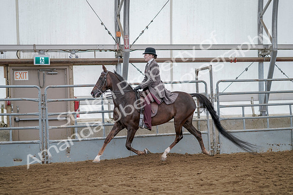 July 20, 2019 - 14634