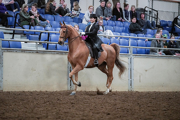 Spring Fling - Saturday - April 20, 2019  -  04350