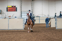 2020 - AB Morgan Horse - Sat, Sept 05 - 11356