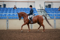 2019 Morgan Horse Show - Aug 30, 2019 - 16016