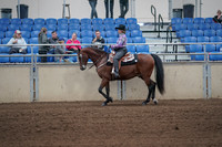 2019 Morgan Horse Show - Sept 01, 2019 - 06774