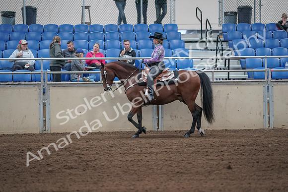 2019 Morgan Horse Show - Sept 01, 2019 - 06774
