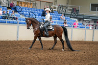 2020 - AB Morgan Horse - Sat, Sept 05 - 08875