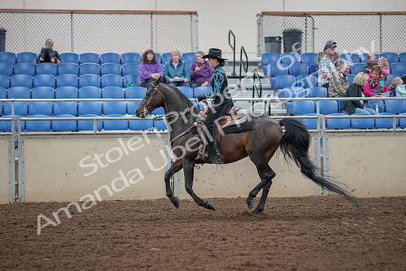 2019 Morgan Horse Show - Aug 30, 2019 - 26090