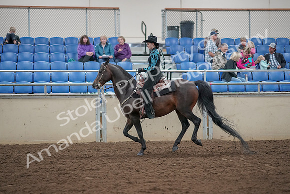 2019 Morgan Horse Show - Aug 30, 2019 - 26088