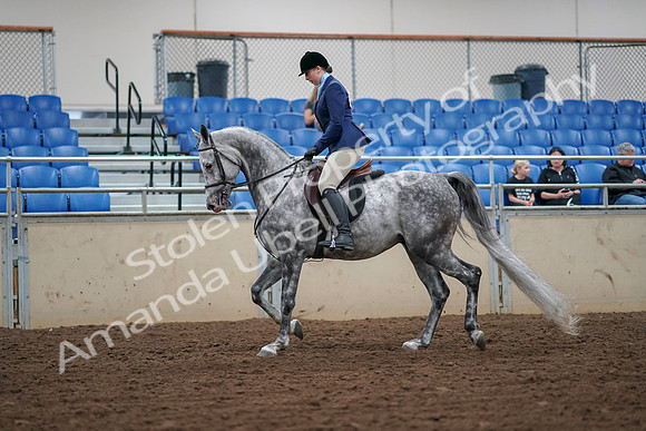 2019 Morgan Horse Show - Aug 30, 2019 - 16047