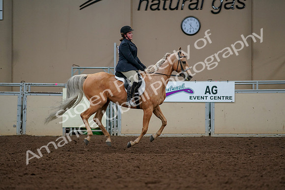 2019 Morgan Horse Show - Aug 30, 2019 - 22575
