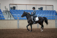 2019 Morgan Horse Show - Aug 31, 2019 - 07158