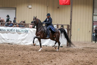 148 - HA/AA Country English Pleasure Open