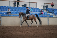 2019 Morgan Horse Show - Sept 01, 2019 - 08504