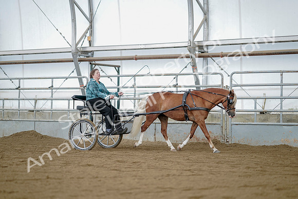 July 21, 2019 - 05986