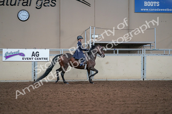 2019 Morgan Horse Show - Aug 30, 2019 - 17967