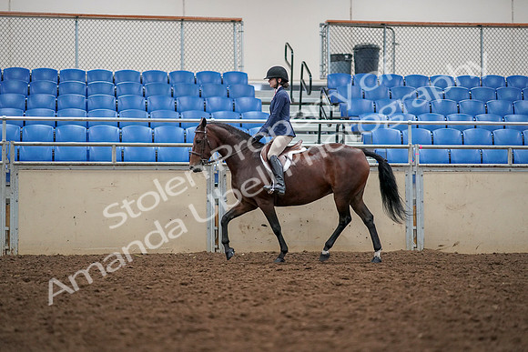 2019 Morgan Horse Show - Aug 30, 2019 - 23386