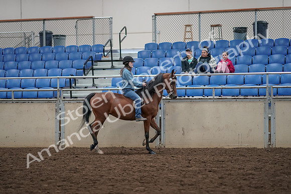 2019 Morgan Horse Show - Aug 30, 2019 - 31343
